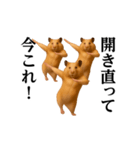 踊る！今これ界隈/キンクマハムスター（個別スタンプ：22）