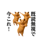 踊る！今これ界隈/キンクマハムスター（個別スタンプ：23）