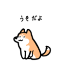 いつでも使えるハスキー（赤白 黒目）（個別スタンプ：13）