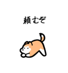 いつでも使えるハスキー（赤白 黒目）（個別スタンプ：17）