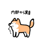 いつでも使えるハスキー（赤白 黒目）（個別スタンプ：28）
