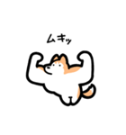 いつでも使えるハスキー（赤白 黒目）（個別スタンプ：31）