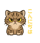 ツン顔マヌルねこ（個別スタンプ：1）