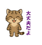 ツン顔マヌルねこ（個別スタンプ：2）