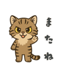 ツン顔マヌルねこ（個別スタンプ：3）