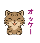 ツン顔マヌルねこ（個別スタンプ：5）