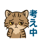 ツン顔マヌルねこ（個別スタンプ：7）