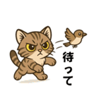 ツン顔マヌルねこ（個別スタンプ：11）