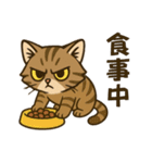 ツン顔マヌルねこ（個別スタンプ：15）
