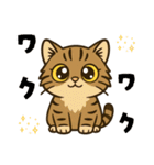 ツン顔マヌルねこ（個別スタンプ：16）