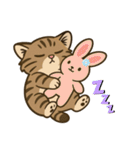 ツン顔マヌルねこ（個別スタンプ：17）
