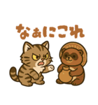 ツン顔マヌルねこ（個別スタンプ：19）