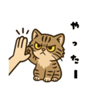 ツン顔マヌルねこ（個別スタンプ：21）