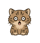 ツン顔マヌルねこ（個別スタンプ：27）