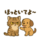 ツン顔マヌルねこ（個別スタンプ：29）