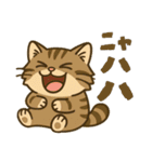 ツン顔マヌルねこ（個別スタンプ：31）