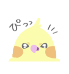 クロさんスタンプ5（個別スタンプ：16）