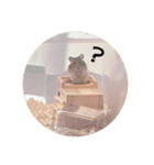 ごまいもレトオル（個別スタンプ：1）