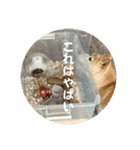 ごまいもレトオル（個別スタンプ：8）