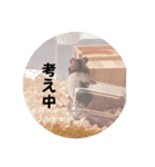 ごまいもレトオル（個別スタンプ：12）