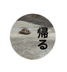 ごまいもレトオル（個別スタンプ：20）