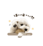 メイちゃん.スタンダード（個別スタンプ：2）