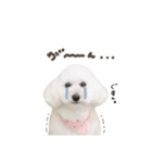 メイちゃん.スタンダード（個別スタンプ：22）