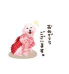 メイちゃん.スタンダード（個別スタンプ：24）