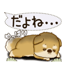 柴犬 2025 「犬の気持ち」（個別スタンプ：3）
