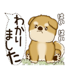 柴犬 2025 「犬の気持ち」（個別スタンプ：5）