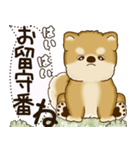 柴犬 2025 「犬の気持ち」（個別スタンプ：6）