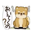 柴犬 2025 「犬の気持ち」（個別スタンプ：7）