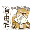 柴犬 2025 「犬の気持ち」（個別スタンプ：9）