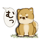 柴犬 2025 「犬の気持ち」（個別スタンプ：10）