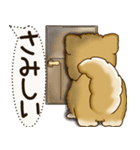柴犬 2025 「犬の気持ち」（個別スタンプ：12）