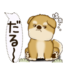 柴犬 2025 「犬の気持ち」（個別スタンプ：13）