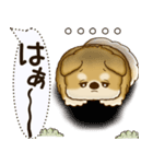 柴犬 2025 「犬の気持ち」（個別スタンプ：14）