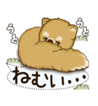 柴犬 2025 「犬の気持ち」（個別スタンプ：17）