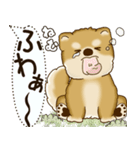 柴犬 2025 「犬の気持ち」（個別スタンプ：18）