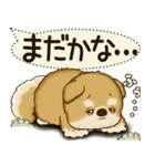 柴犬 2025 「犬の気持ち」（個別スタンプ：20）