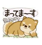 柴犬 2025 「犬の気持ち」（個別スタンプ：22）