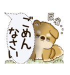 柴犬 2025 「犬の気持ち」（個別スタンプ：23）