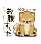 柴犬 2025 「犬の気持ち」（個別スタンプ：24）