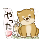 柴犬 2025 「犬の気持ち」（個別スタンプ：25）