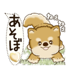 柴犬 2025 「犬の気持ち」（個別スタンプ：27）