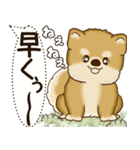 柴犬 2025 「犬の気持ち」（個別スタンプ：28）