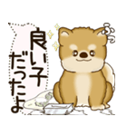 柴犬 2025 「犬の気持ち」（個別スタンプ：30）