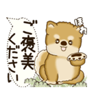 柴犬 2025 「犬の気持ち」（個別スタンプ：31）