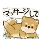 柴犬 2025 「犬の気持ち」（個別スタンプ：32）
