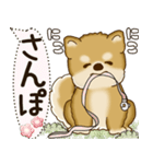 柴犬 2025 「犬の気持ち」（個別スタンプ：33）